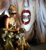 Filename=GGVHQ04.jpg
Filesize=1052KiB
Dimensions=2330x3500
Date added=May 11, 2013 GGVHQ04.jpg