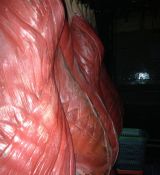 Filename=924072243_700.jpg
Filesize=104KiB
Dimensions=700x933
Date added=Jan 20, 2013 924072243_700.jpg