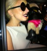 Nom du fichier=gaga_28429.jpg
Taille du fichier=64Ko
Dimensions : 746x1000
Ajouté le : 31 Décembre 2011 gaga_28429.jpg