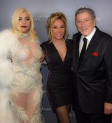 Filename=GGV04.jpg
Filesize=31KiB
Dimensions=640x432
Date added=Jan 03, 2015 GGV04.jpg