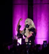 Filename=GGV40.jpg
Filesize=293KiB
Dimensions=2048x1536
Date added=Jul 25, 2022 GGV40.jpg