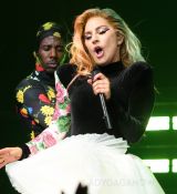 Filename=GGV48.jpg
Filesize=270KiB
Dimensions=3000x2000
Date added=Aug 03, 2017 GGV48.jpg